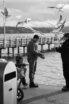 A black and white picture of a person feeding seagulls.