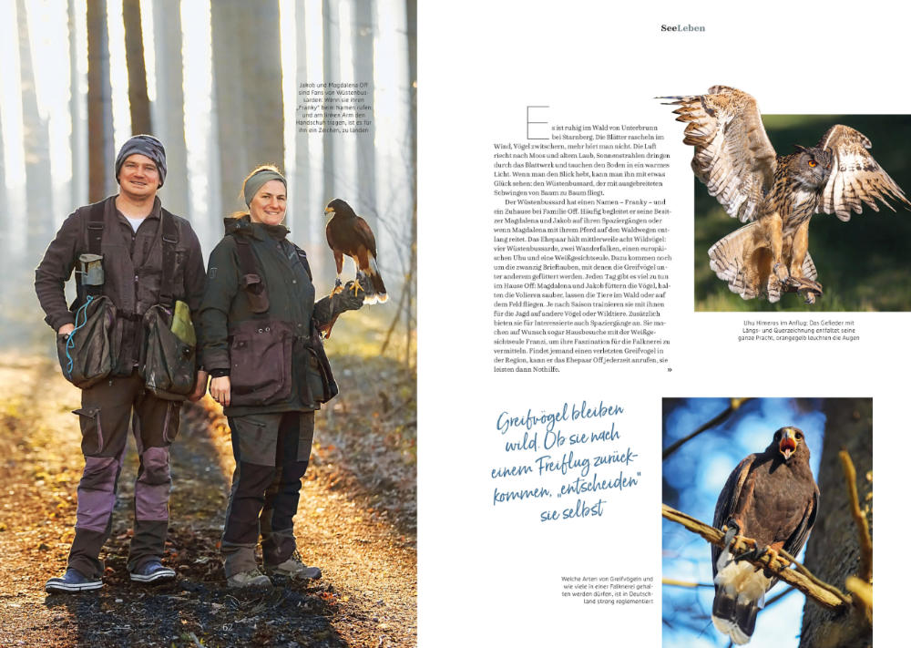 SeeMagazin Layout